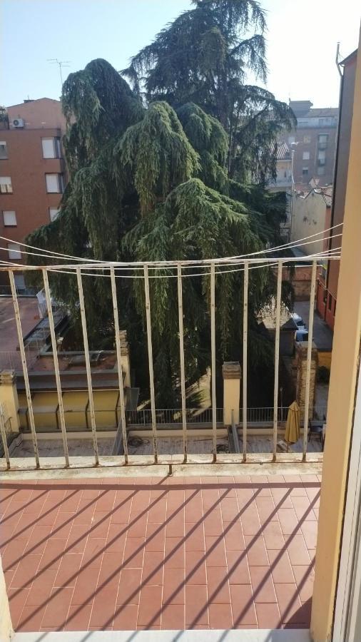 B & B Via Borgo Di San Pietro Bologna Eksteriør bilde
